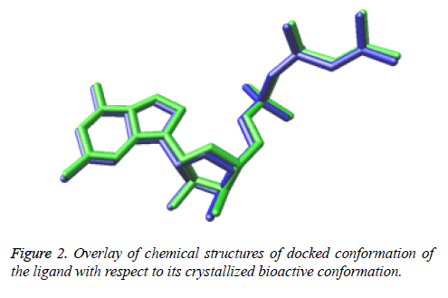 biomedres-docked-bioactive