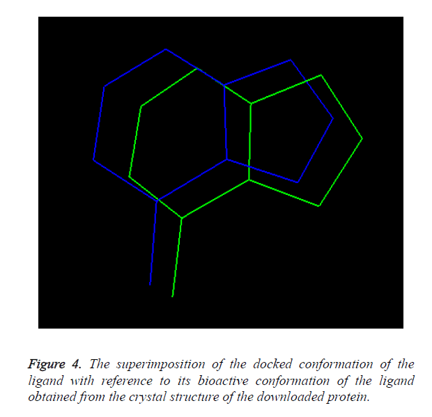 biomedres-docked-conformation