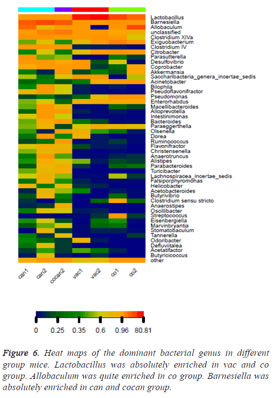 biomedres-dominant-bacterial-genus