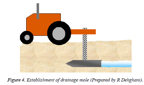 biomedres-drainage-mole