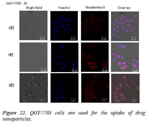 biomedres-drug-nanoparticles