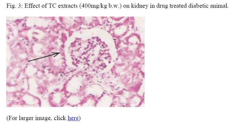 biomedres-drug-treated