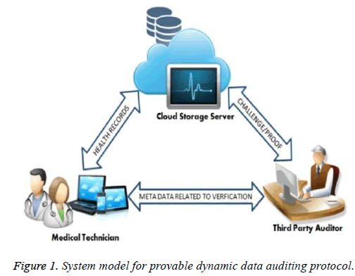 biomedres-dynamic-data