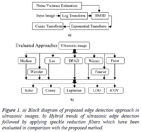 biomedres-edge-detection