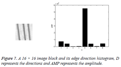 biomedres-edge-direction-histogram