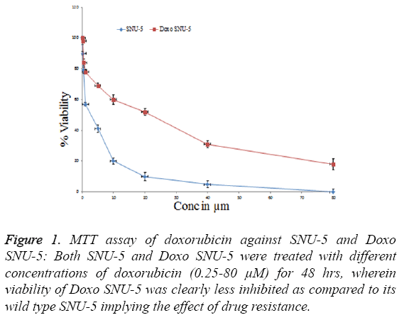 biomedres-effect-drug-resistance