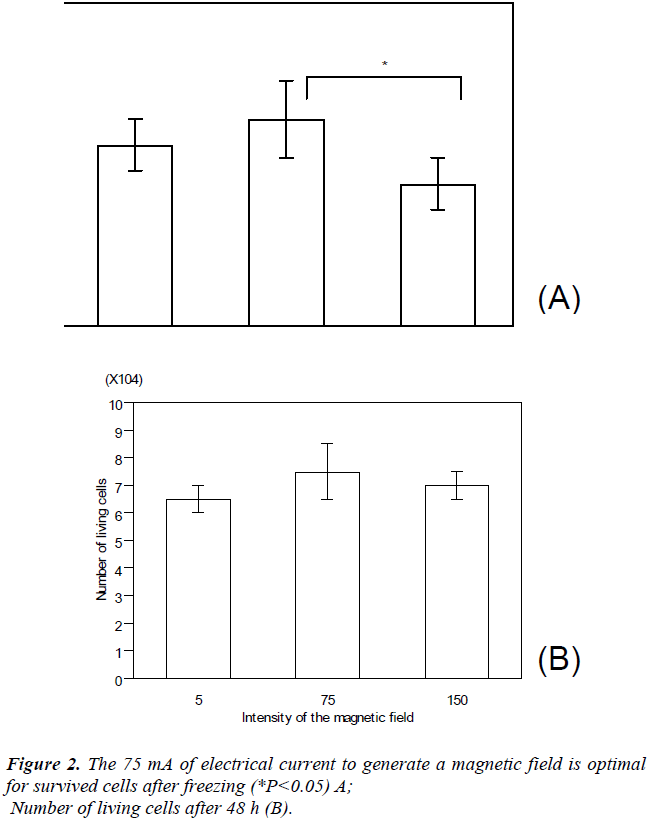 biomedres-electrical-current-generate-magnetic-field