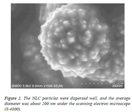 biomedres-electron-microscope