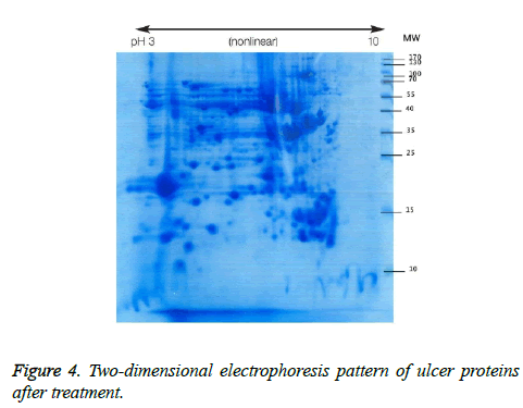 biomedres-electrophoresis