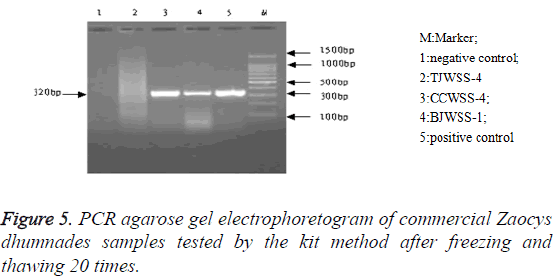 biomedres-electrophoretogram-commercial