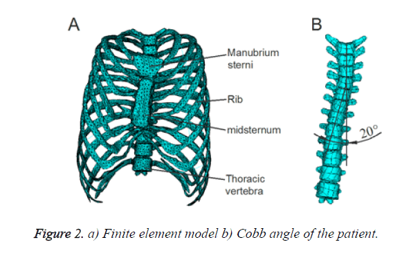 biomedres-element-model