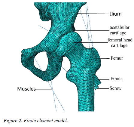 biomedres-element-model