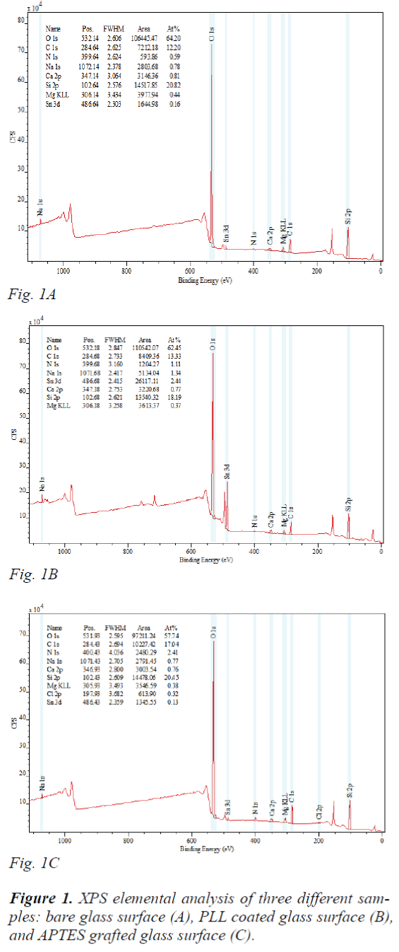 biomedres-elemental-analysis-three-different-samples