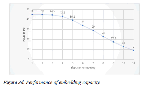 biomedres-embedding-capacity