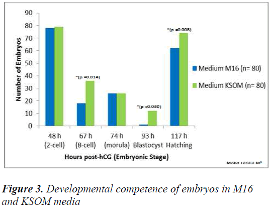 biomedres-embryos-M16-KSOM