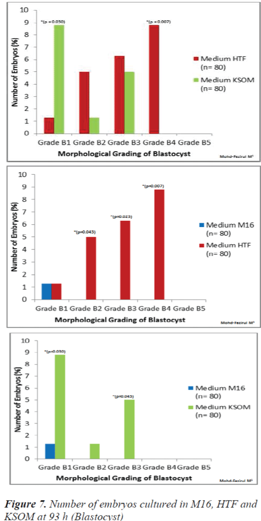 biomedres-embryos-cultured-M16-HTF