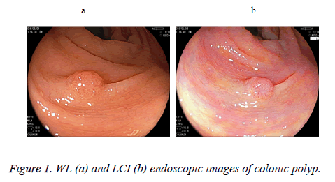 biomedres-endoscopic-images