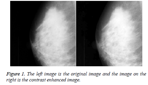 biomedres-enhanced-image