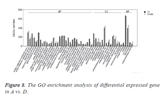 biomedres-enrichment-analysis