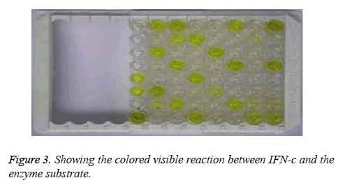 biomedres-enzyme-substrate