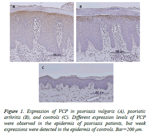 biomedres-epidermis-controls