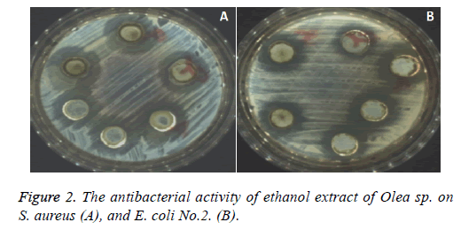 biomedres-ethanol-extract