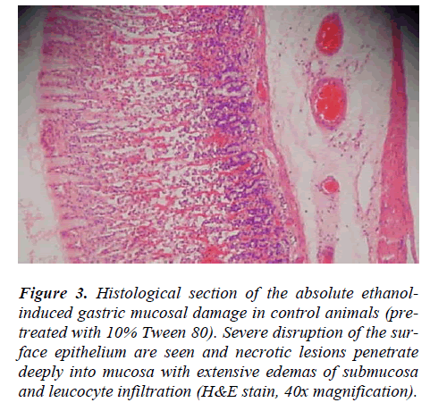 biomedres-ethanolinduced-gastric-mucosal-damage