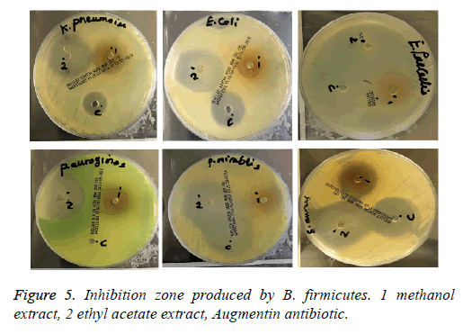 biomedres-ethyl-acetate