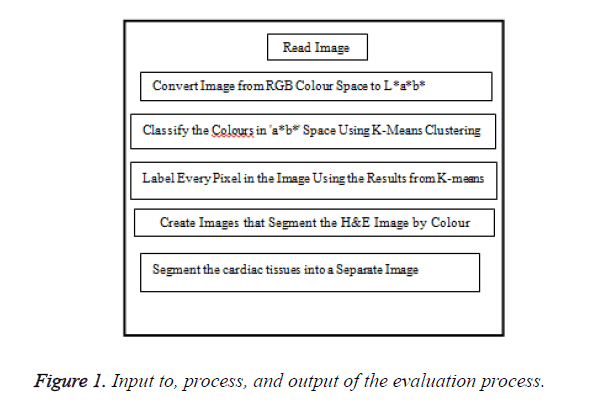 biomedres-evaluation-process