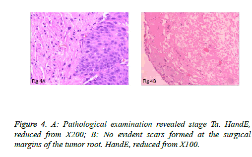 biomedres-examination-revealed