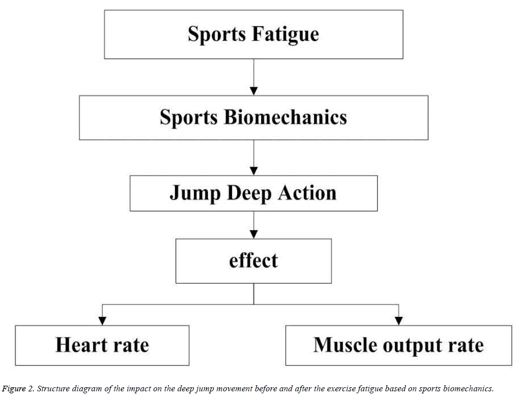 biomedres-exercise-fatigue