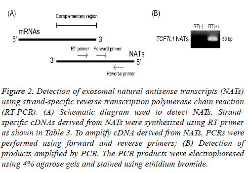 biomedres-exosomal-natural