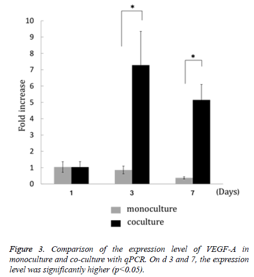 biomedres-expression-culture