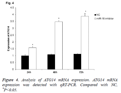 biomedres-expression-detected