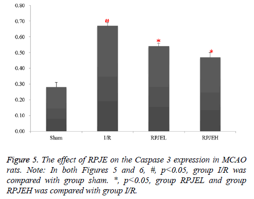 biomedres-expression-group