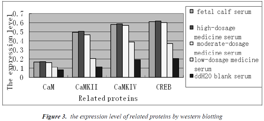 biomedres-expression-level