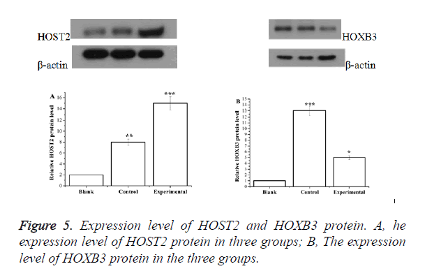 biomedres-expression-level