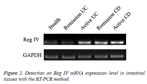 biomedres-expression-level