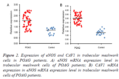 biomedres-expression-level