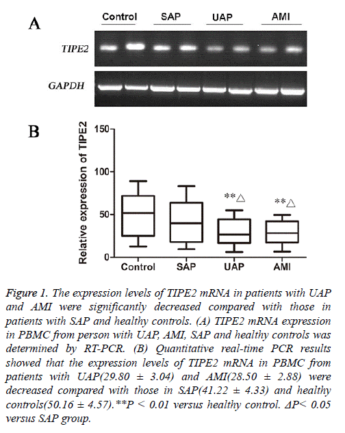 biomedres-expression-levels