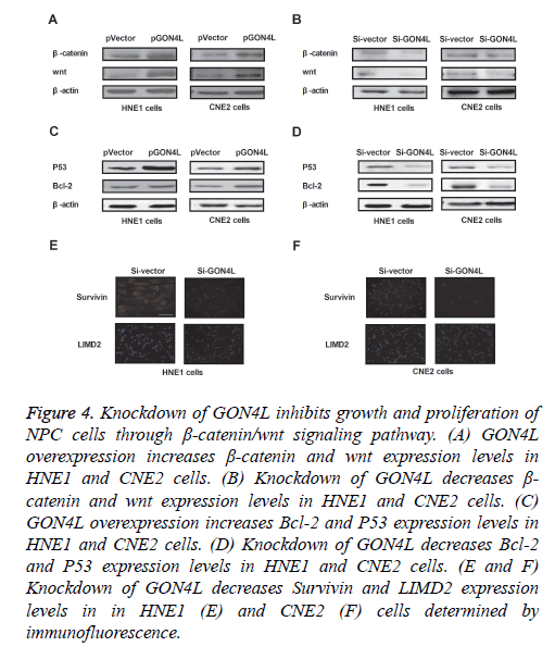 biomedres-expression-levels