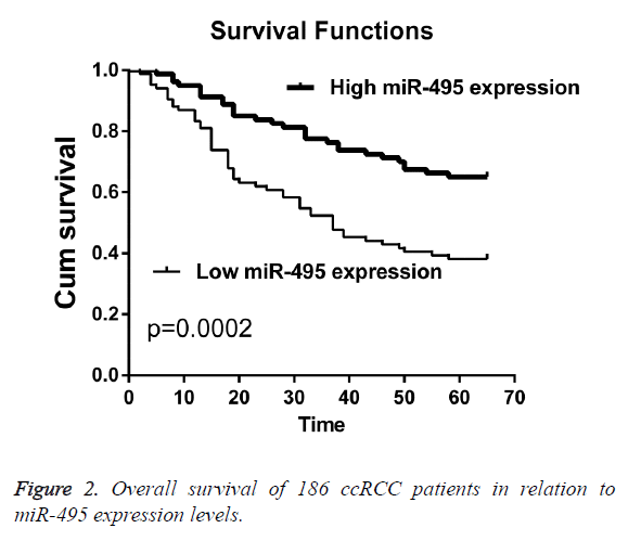 biomedres-expression-levels