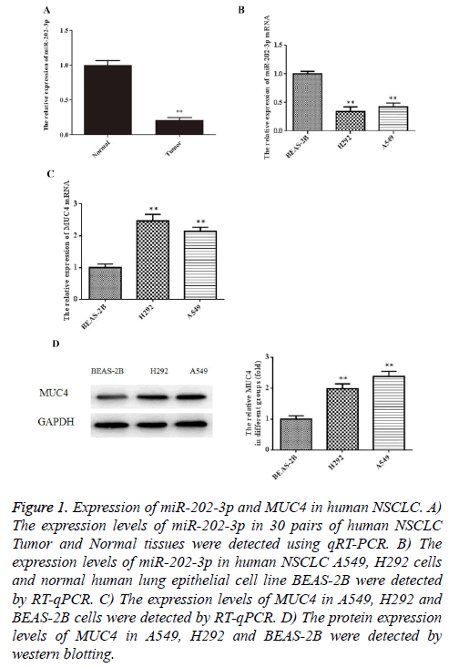 biomedres-expression-levels