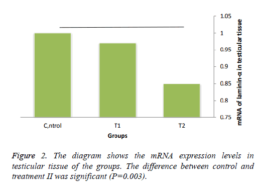 biomedres-expression-levels