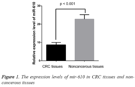 biomedres-expression-levels-mir