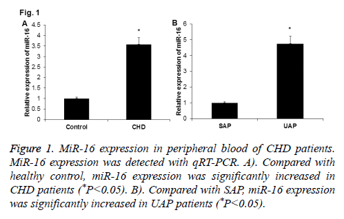 biomedres-expression-peripheral