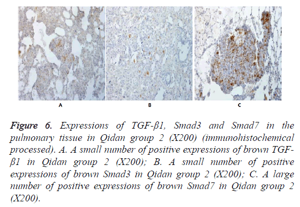 biomedres-expressions-brown