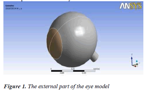 biomedres-external-eye-model