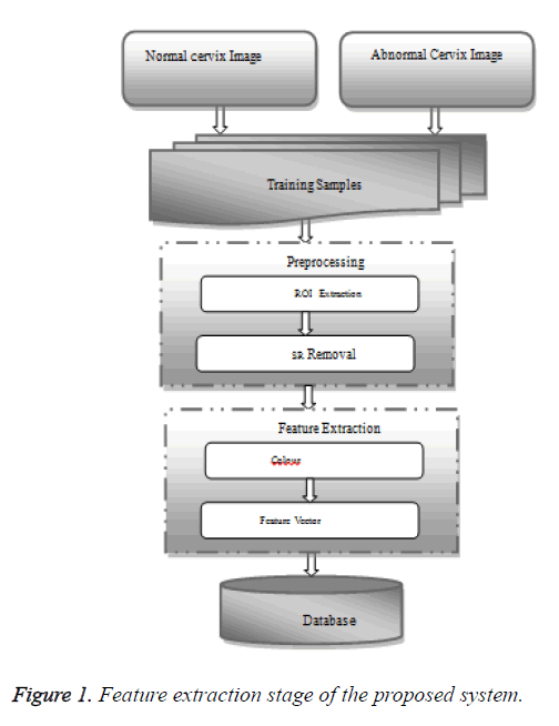 biomedres-extraction-stage