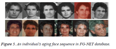 biomedres-face-sequence